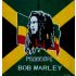 Bob Marley Freedom Bandana