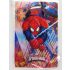 Spiderman Party Loot Bags (Pack Of 10)