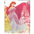 Disney Princess Party Table Cover 