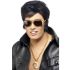 Elvis Presley Wig Kit (Without Specs)