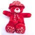 Cute Teddy With Cap ( Red)