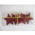 Decoration Star  - Red - (Pack Of 4)