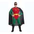 Robin Costume for Men