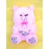 For Someone Special Teddy (Pink)