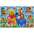 Winnie & Friends Wall Stickers