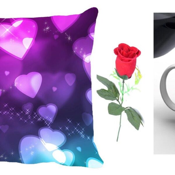 Purple Heart Valentine Cushion Combo