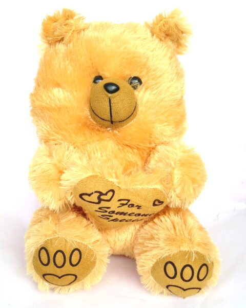 For Someone Special Teddy (Brown)