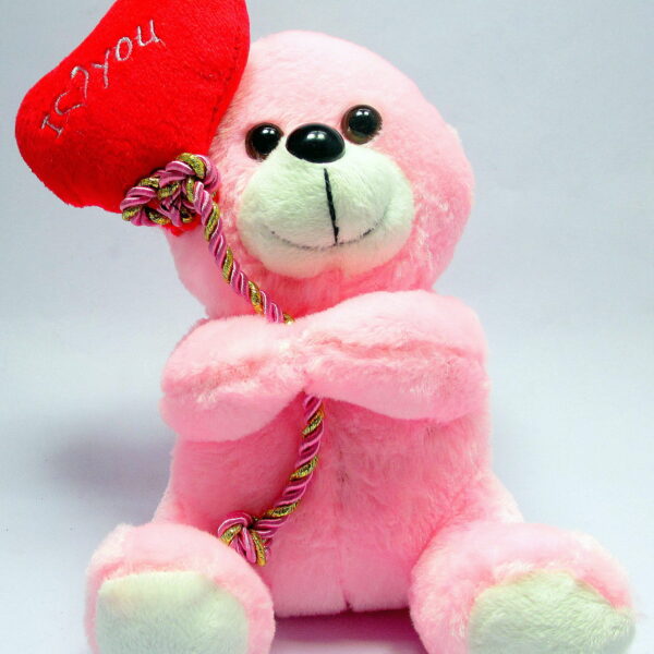 Pink Teddy Bear
