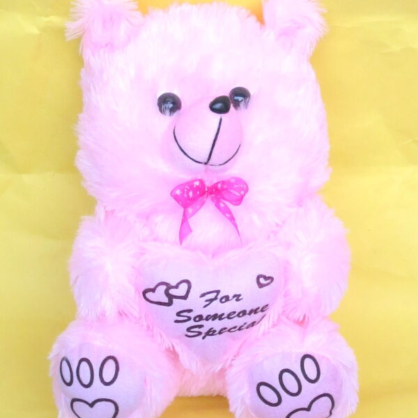 For Someone Special Teddy (Pink)