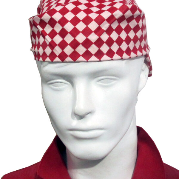 Red And White Checkered Print Bandana