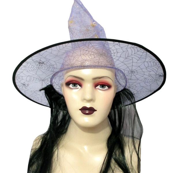 Witch Hat With Hair